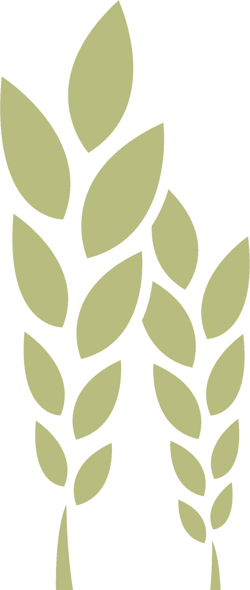 PHG-leaves-olive